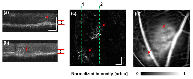 Fig. 4.