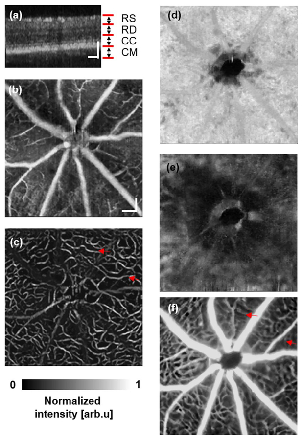 Fig. 3.