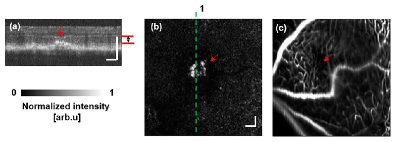 Fig. 5.