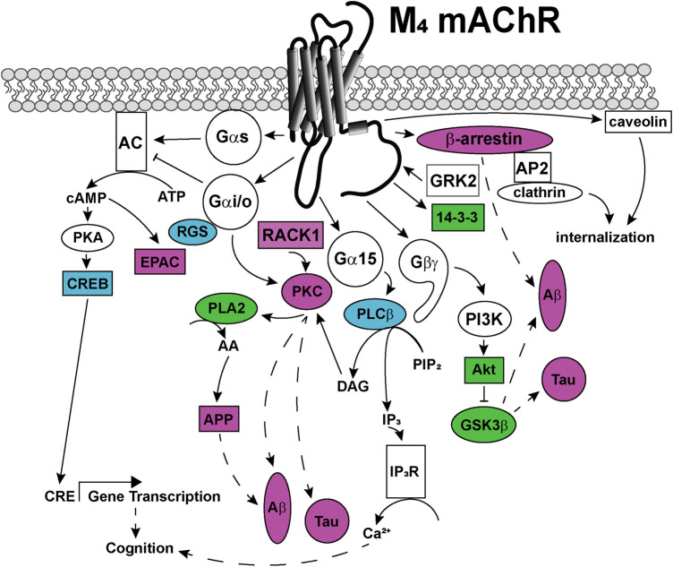 FIGURE 6