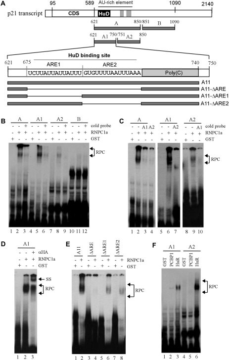 Figure 5.