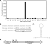 FIG. 1.