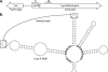 FIG. 6.