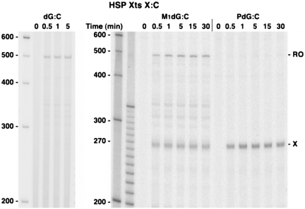 Figure 7.