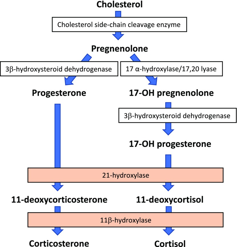 Fig. 8.