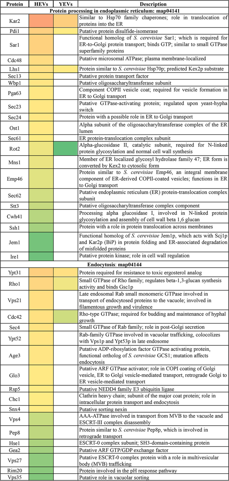 graphic file with name spectrum.00698-22_t002.jpg