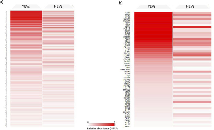 FIG 3