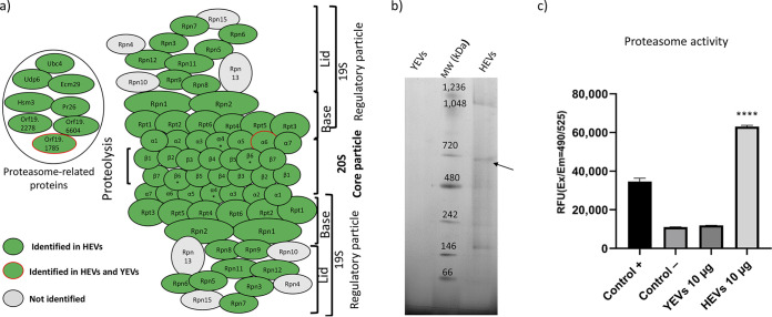 FIG 6