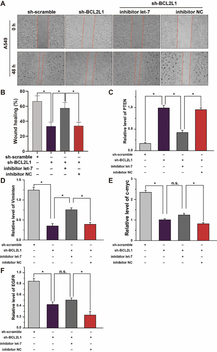 Figure 7