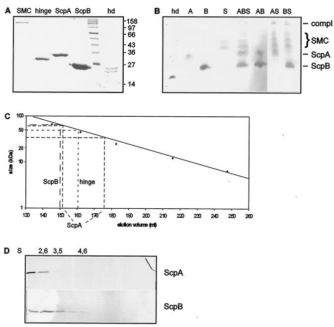 FIG. 5.