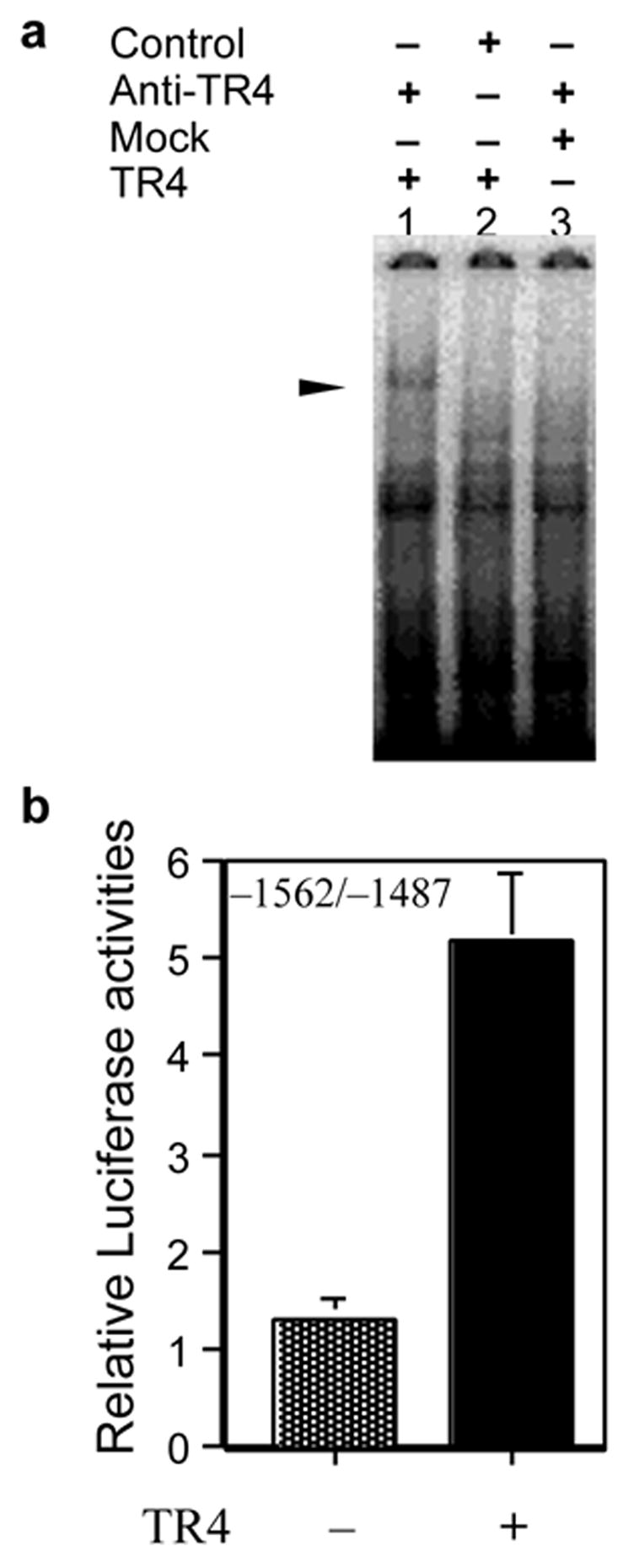 FIG. 3