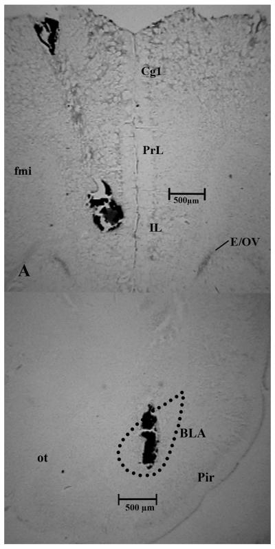 Figure 2a and 2b