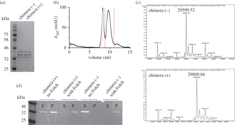 Figure 2.