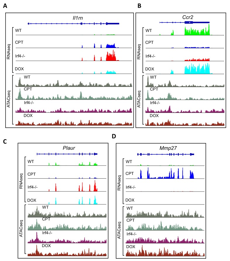 Figure 5—figure supplement 1.