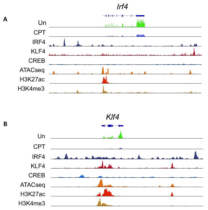 Figure 5—figure supplement 4.