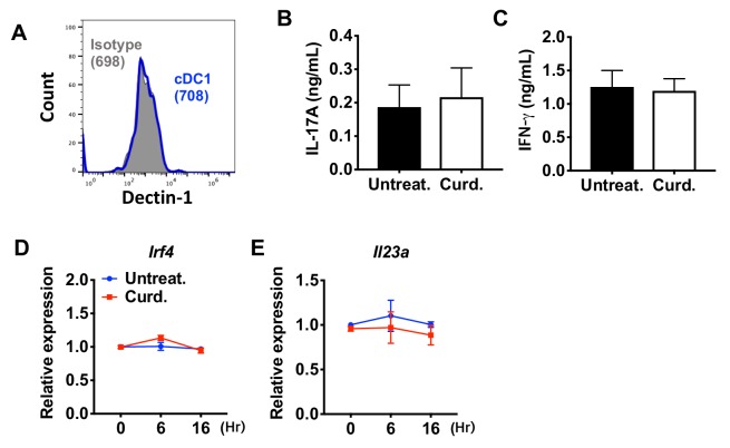 Figure 3—figure supplement 1.