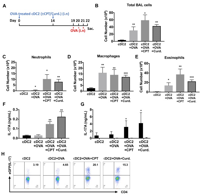 Figure 6—figure supplement 1.