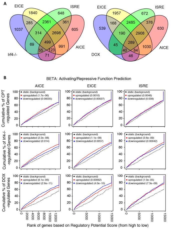 Figure 5—figure supplement 3.