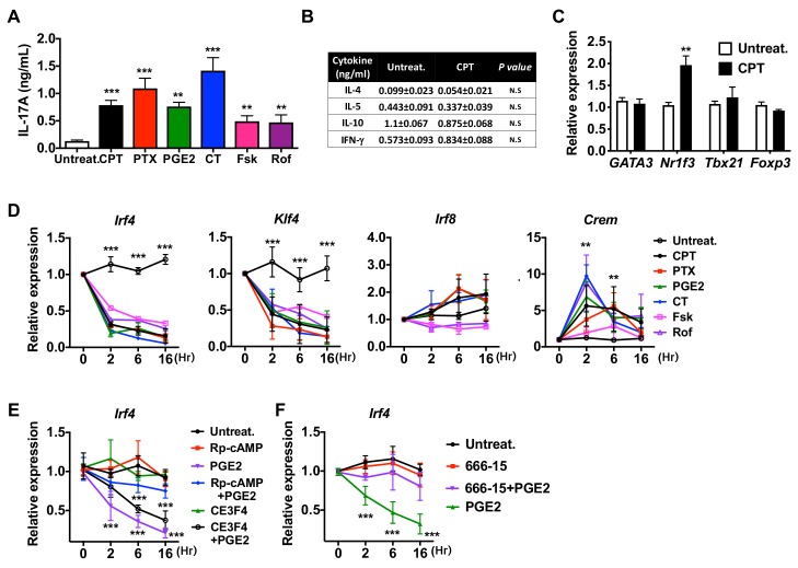 Figure 1—figure supplement 4.