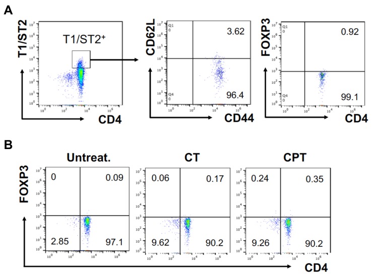 Figure 1—figure supplement 2.