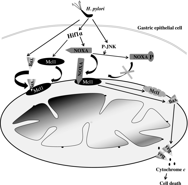 Figure 7.