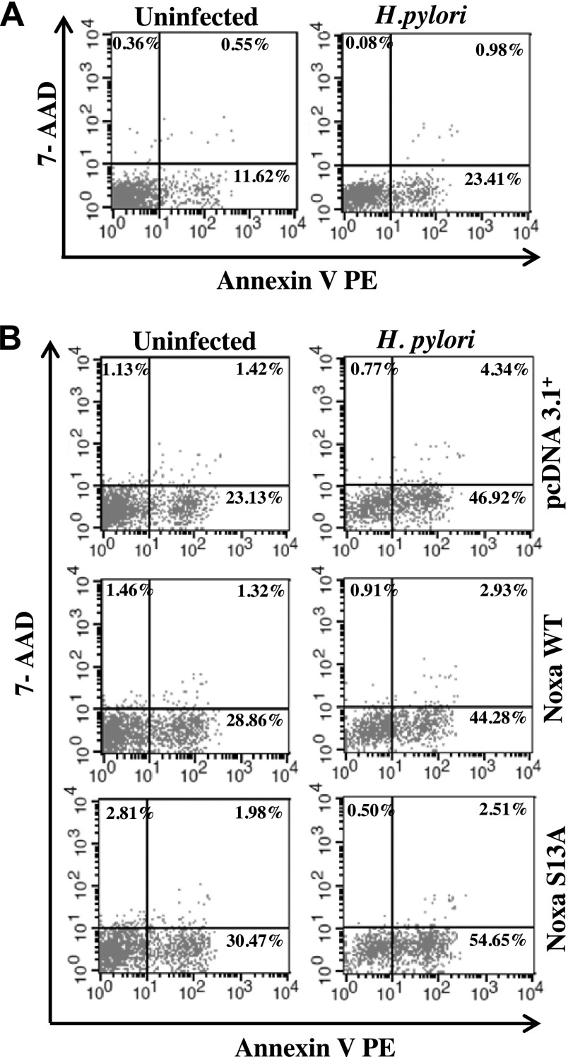 Figure 6.