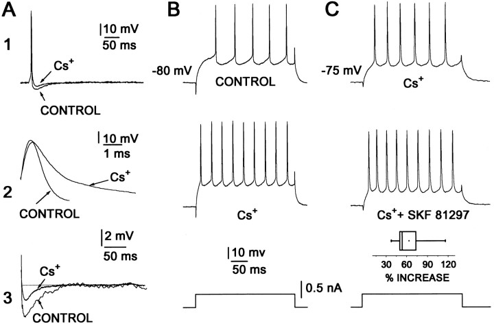 Fig. 3.