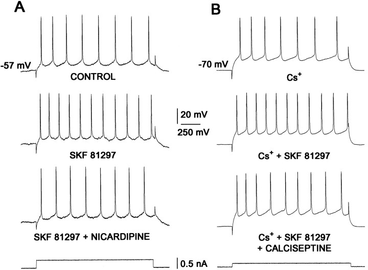 Fig. 7.