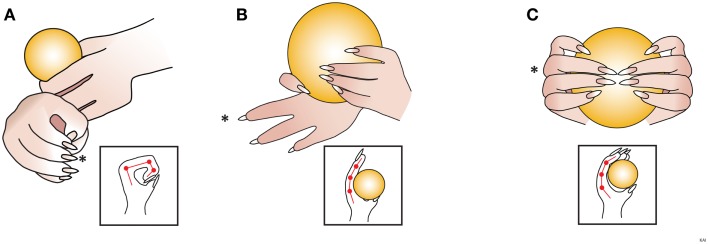 Figure 6