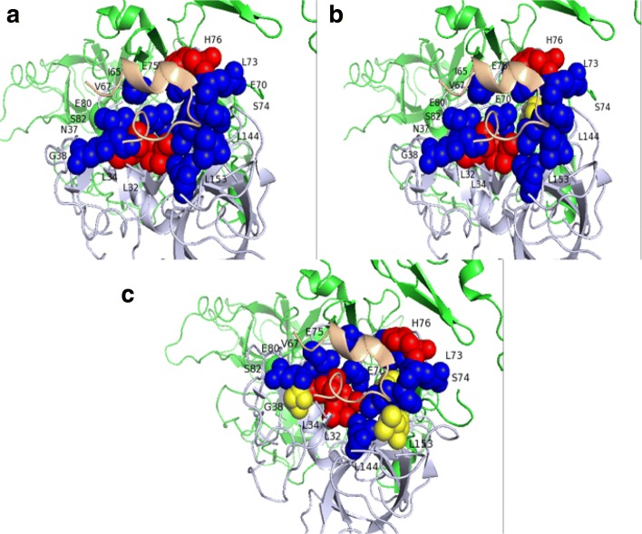 Fig. 9