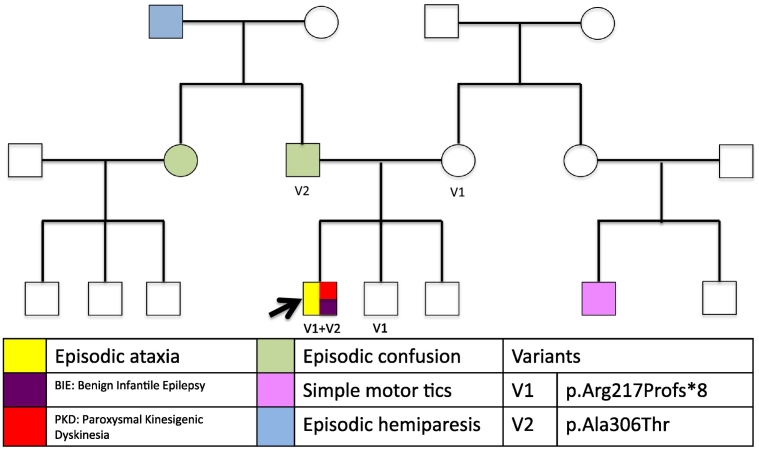 Fig. 1