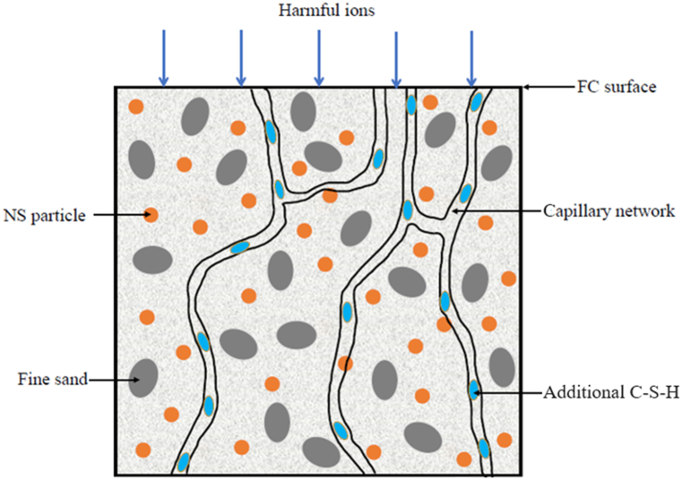 Fig. 12