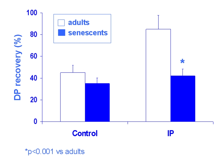 Fig. 2: