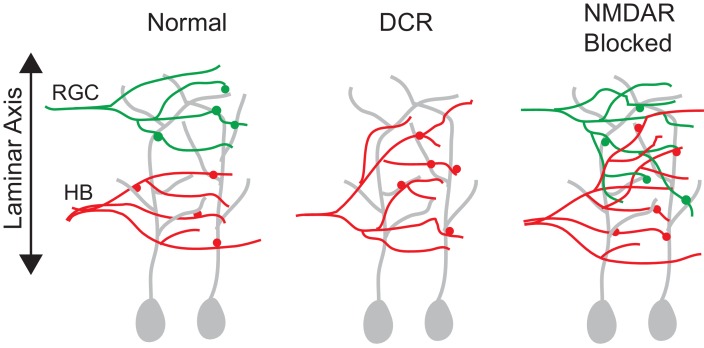 Figure 9.