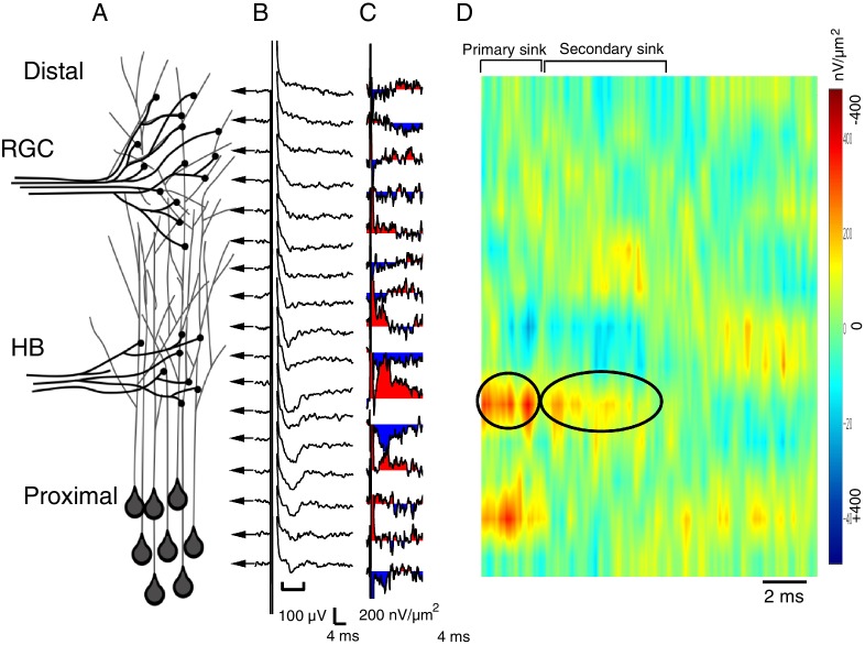 Figure 2—figure supplement 1.