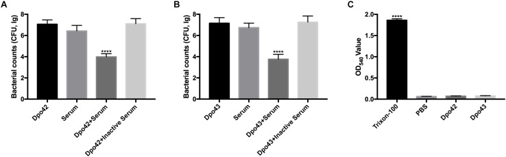 FIGURE 4