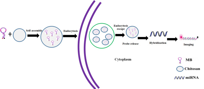 Fig. 1