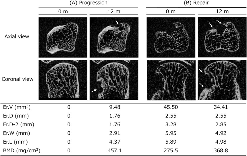 Fig 6