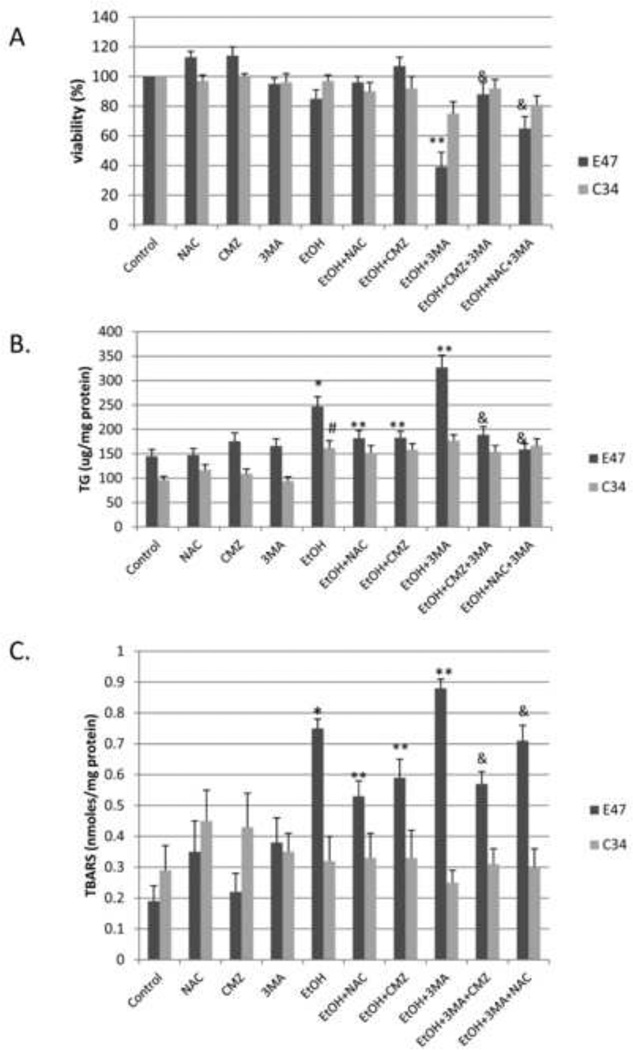 Fig. 8