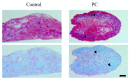 Fig. (3)