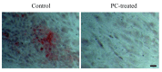 Fig. (2)