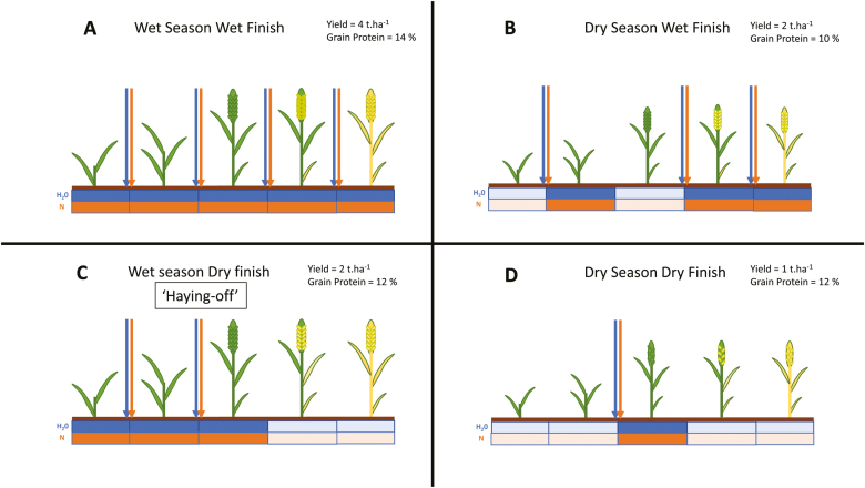 Fig. 2.