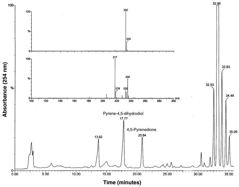 FIG. 6