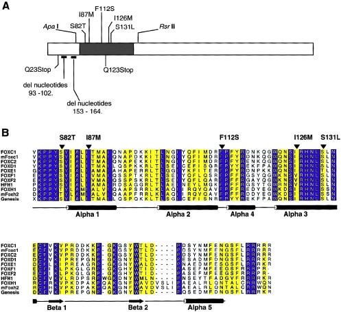 Figure  2