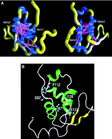 Figure  1