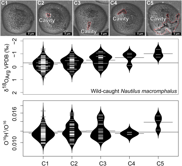 Fig 4