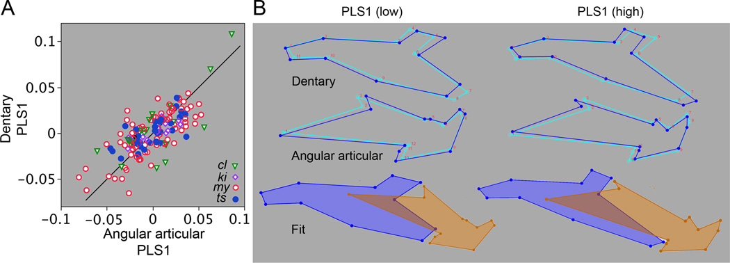 Fig. 7