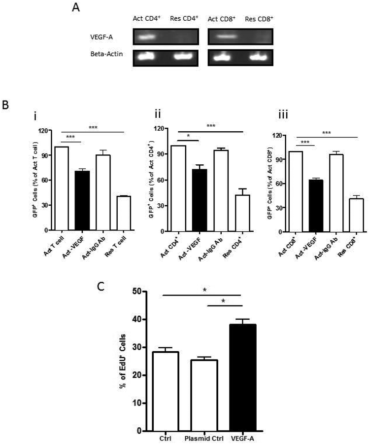 Figure 4: