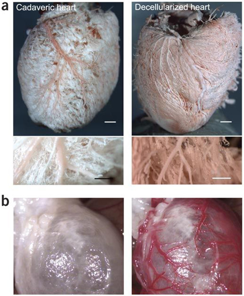 Figure 27.