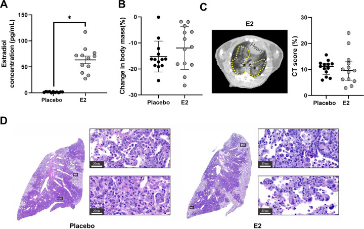 FIG 2